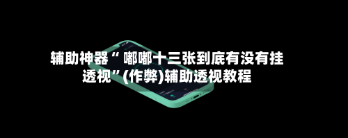 辅助神器“ 嘟嘟十三张到底有没有挂透视”(作弊)辅助透视教程-第3张图片