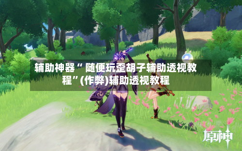 辅助神器“ 随便玩歪胡子辅助透视教程”(作弊)辅助透视教程-第3张图片