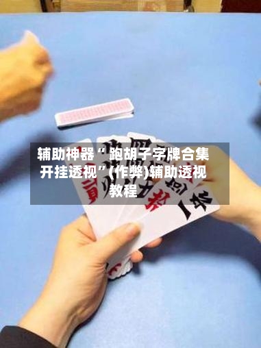辅助神器“ 跑胡子字牌合集开挂透视”(作弊)辅助透视教程-第3张图片