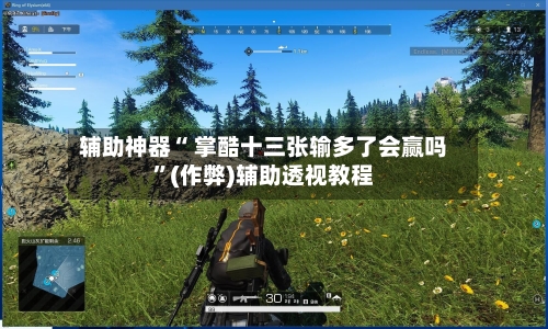 辅助神器“ 掌酷十三张输多了会赢吗”(作弊)辅助透视教程-第3张图片