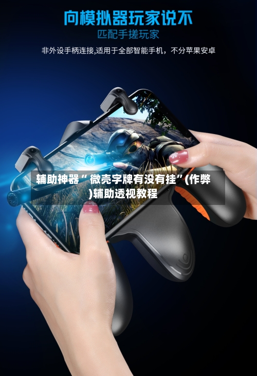 辅助神器“ 微壳字牌有没有挂”(作弊)辅助透视教程-第2张图片