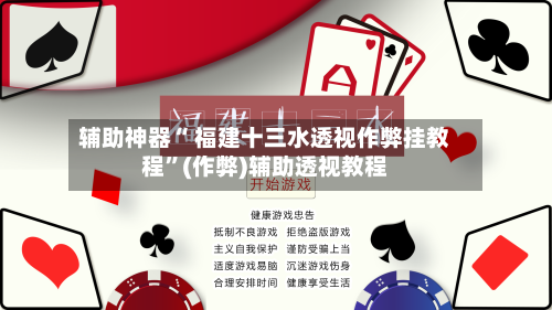 辅助神器“ 福建十三水透视作弊挂教程”(作弊)辅助透视教程-第3张图片