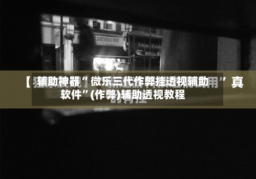 辅助神器“ 微乐三代作弊挂透视辅助软件	”(作弊)辅助透视教程-第3张图片