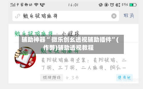 辅助神器“ 微乐创幺透视辅助插件”(作弊)辅助透视教程-第2张图片