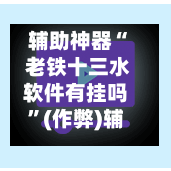 辅助神器“ 老铁十三水软件有挂吗”(作弊)辅助透视教程-第2张图片