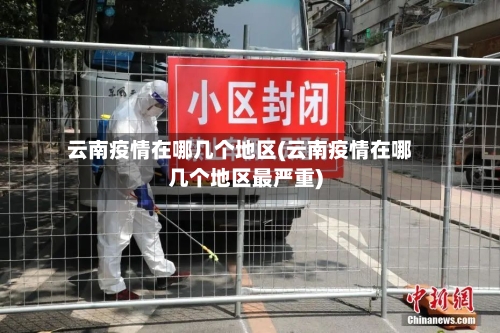 云南疫情在哪几个地区(云南疫情在哪几个地区最严重)-第3张图片