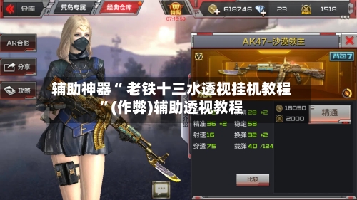 辅助神器“ 老铁十三水透视挂机教程	”(作弊)辅助透视教程-第2张图片