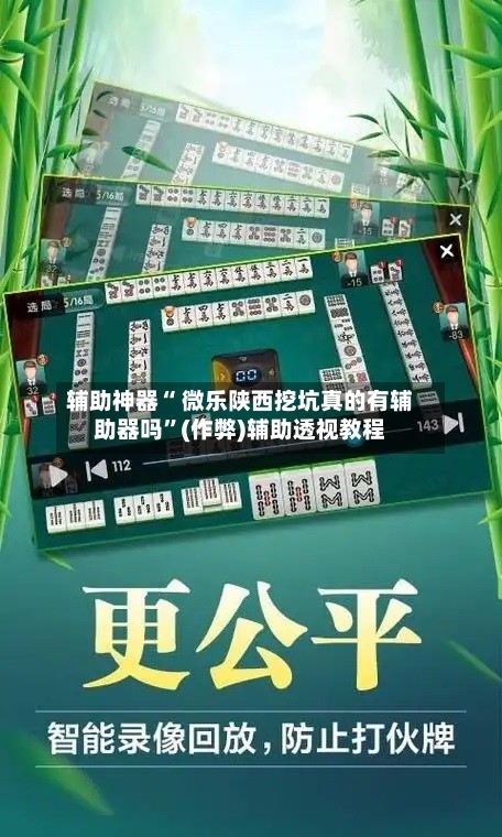 辅助神器“ 微乐陕西挖坑真的有辅助器吗	”(作弊)辅助透视教程-第3张图片