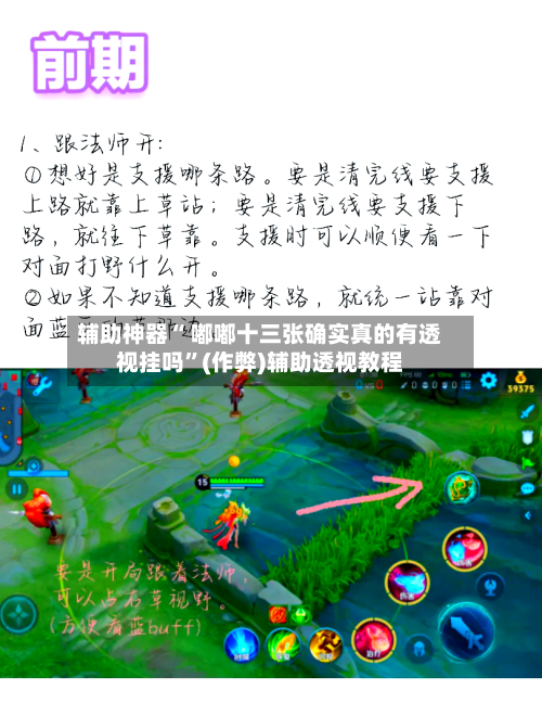 辅助神器“ 嘟嘟十三张确实真的有透视挂吗”(作弊)辅助透视教程