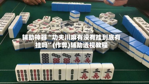 辅助神器“功夫川麻有没有挂到底有挂吗”(作弊)辅助透视教程